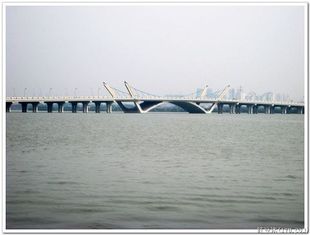 China La inmersión caliente de encargo Galvanized Pre-dirigió el puente de Bailey prefabricado del acero estructural proveedor