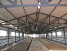 China Sistemas de acero prefabricados durables de la vaca que enmarcan/del caballo con la alta utilización flexible del espacio fábrica