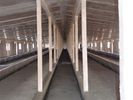 China Sistemas que enmarcan de bocadillo del panel del acero material de acero de las aves de corral para el pollo de la cría fábrica
