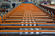 Hoja del tejado/rollo de la teja de tejado que forma la máquina para las tejas de techumbre del metal proveedor